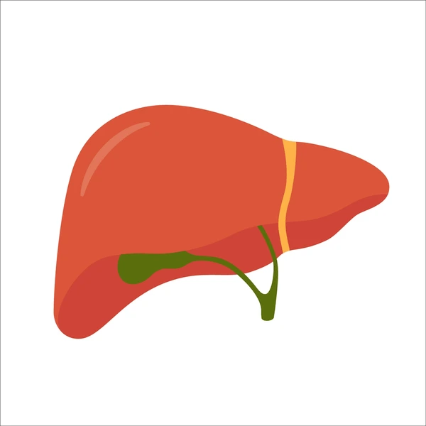 Common Bile Duct Stones (Choledocholithiasis)