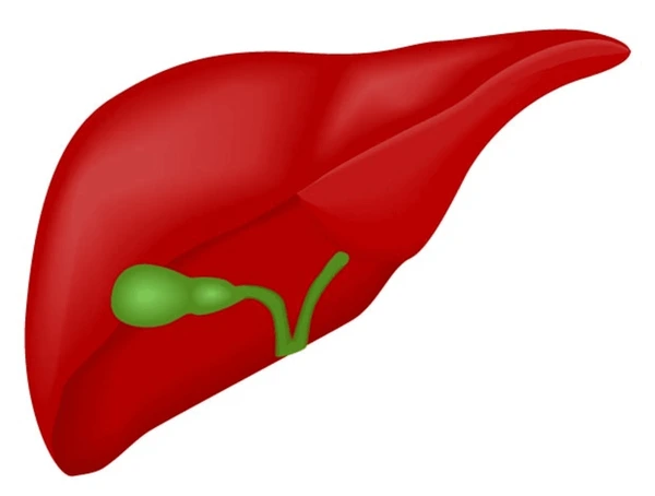 Empyema Gallbladder & Gallbladder Perforation